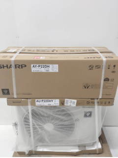 AY-P22DH